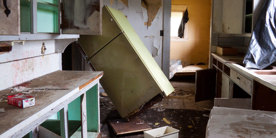 top-squatter-cleaning